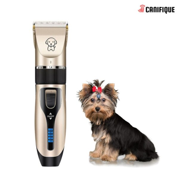 Tondeuse pour chien pour usage domestique - Canifique